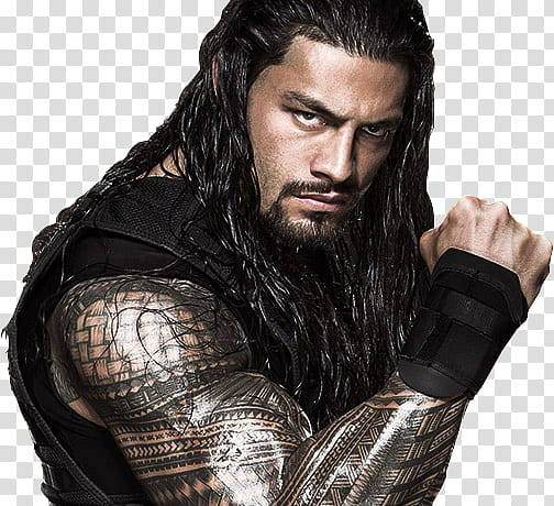 Roman Reigns  Shield transparent background PNG clipart