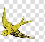 flying yellow bird transparent background PNG clipart