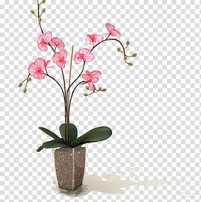 Floral Flower, Penjing, Garden, 3D Modeling, Flowerpot, 3D Computer Graphics, Architecture, Horticulture transparent background PNG clipart