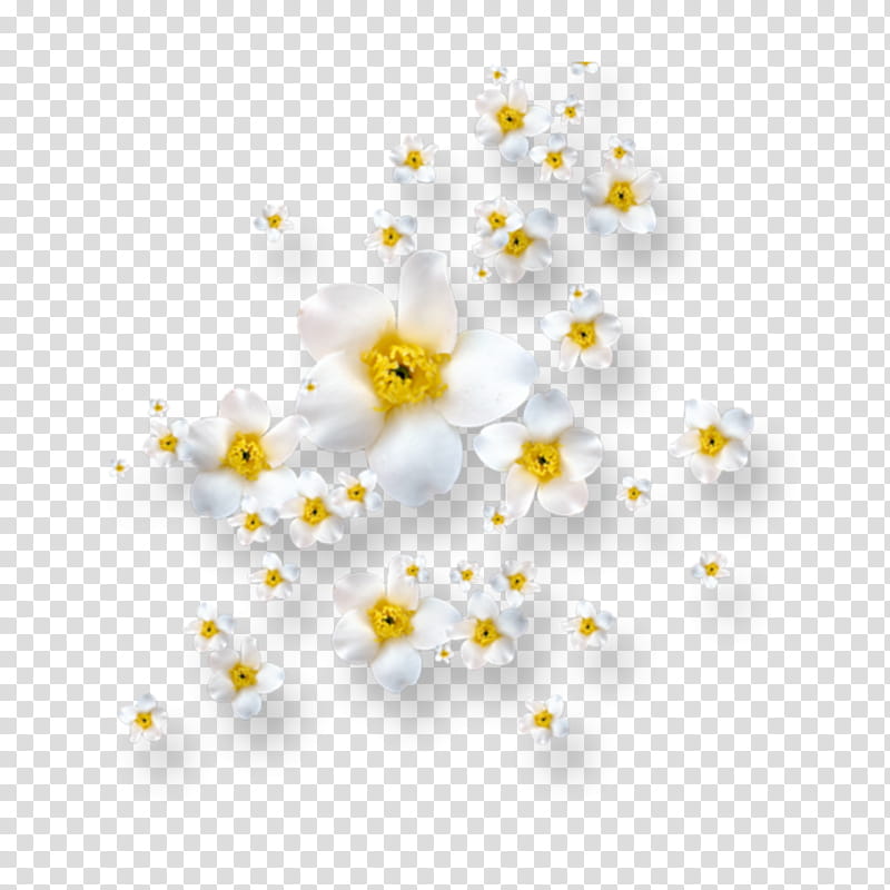 Lily Flower, Petal, Painting, Flower Bouquet, Green, Yellow, Chamomile, Camomile transparent background PNG clipart