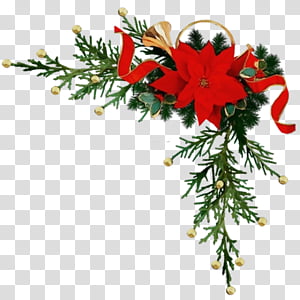 Christmas decoration, Watercolor, Paint, Wet Ink, Flower, Plant, Colorado Spruce, Oregon Pine transparent background PNG clipart thumbnail