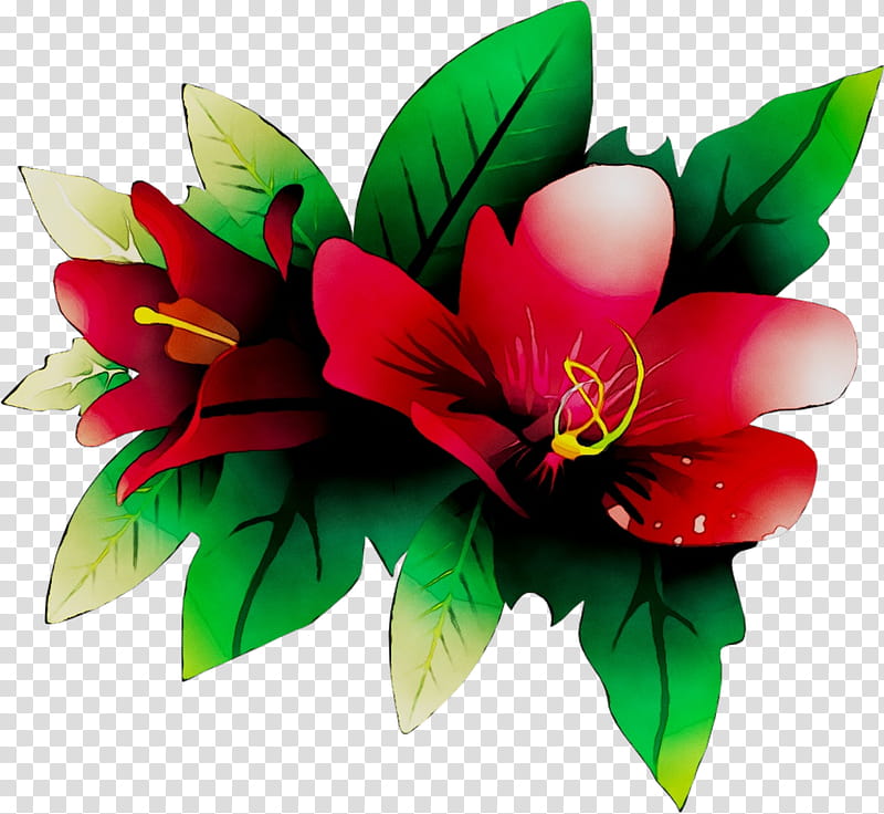 Lily Flower, Floral Design, Plants, Petal, Artificial Flower, Stargazer Lily, Cut Flowers transparent background PNG clipart