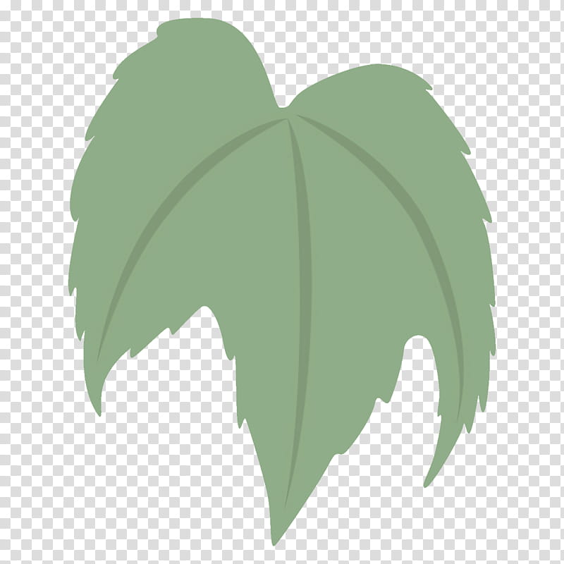 Ivy, Leaf, Green, Plant, Tree, Plane, Flower, Logo transparent background PNG clipart