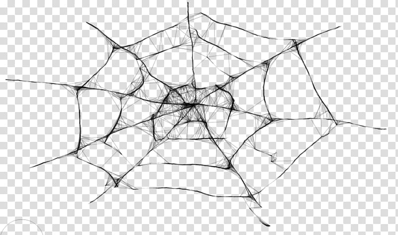 Cobweb transparent background PNG clipart