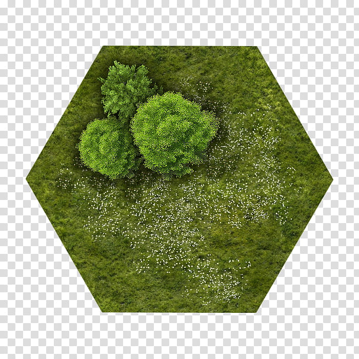 RPG Map Tiles , green grass field artwork transparent background PNG clipart