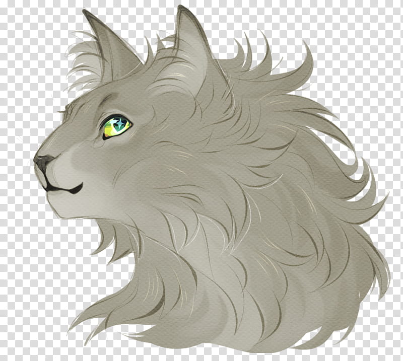 Cat Drawing, Dovewing, Ivypool, Warriors, Whiskers, Fourth Apprentice, Whitewing, Tigerheart transparent background PNG clipart