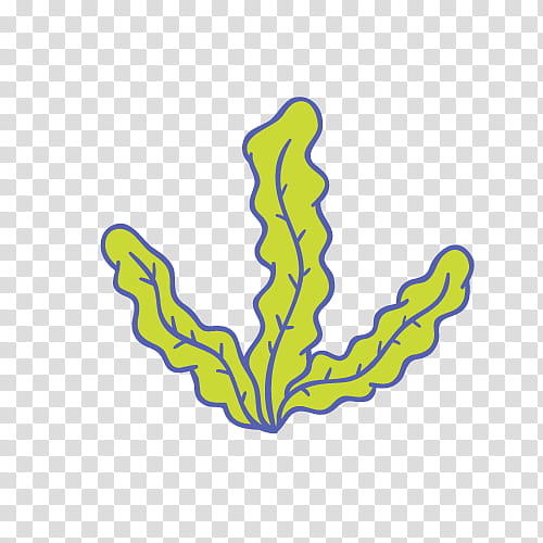 20+ Seaweed Drawing Png - Kemprot Blog