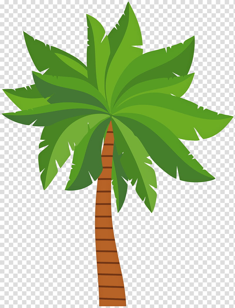 Coconut Tree, Palm Trees, Hyophorbe Lagenicaulis, Leaf, Plant, Green, Woody Plant, Arecales transparent background PNG clipart