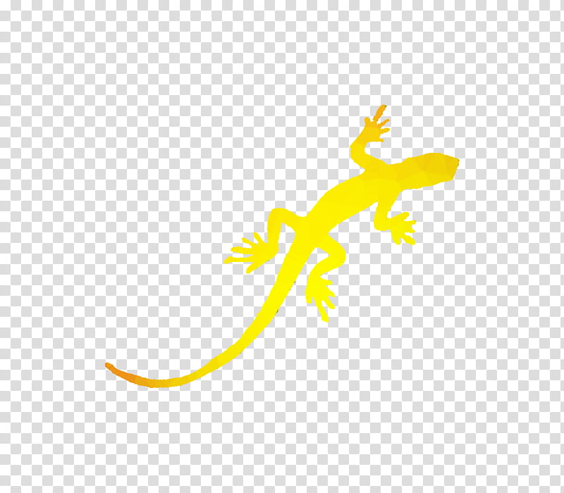 Chameleon, Gecko, Lizard, Yellow, Eidechse, Line, Reptile, Scaled Reptile transparent background PNG clipart