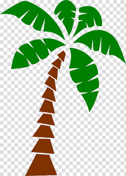 Palm tree, Leaf, Green, Plant, Plant Stem, Woody Plant, Arecales ...