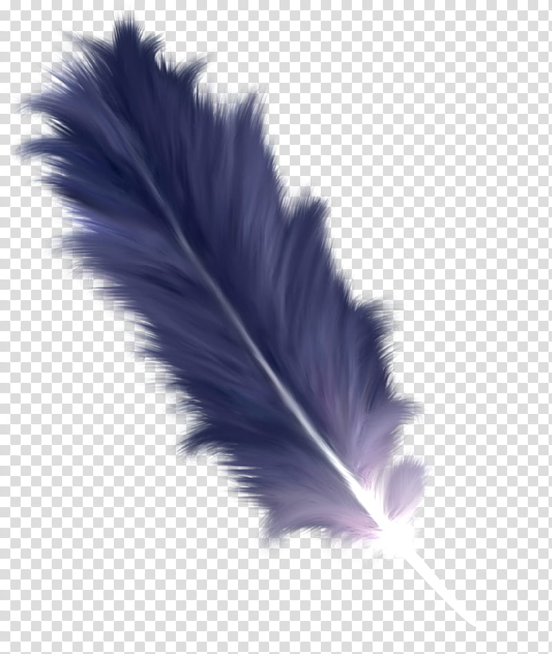 Writing, Feather, Blue, Purple, Quill, Violet, Pen, Wing transparent background PNG clipart
