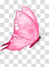 pink and red butterfly illustration transparent background PNG clipart