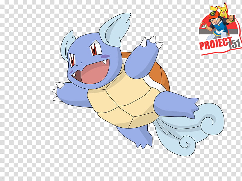Wartortle Render Extraction, animal character illustration transparent background PNG clipart