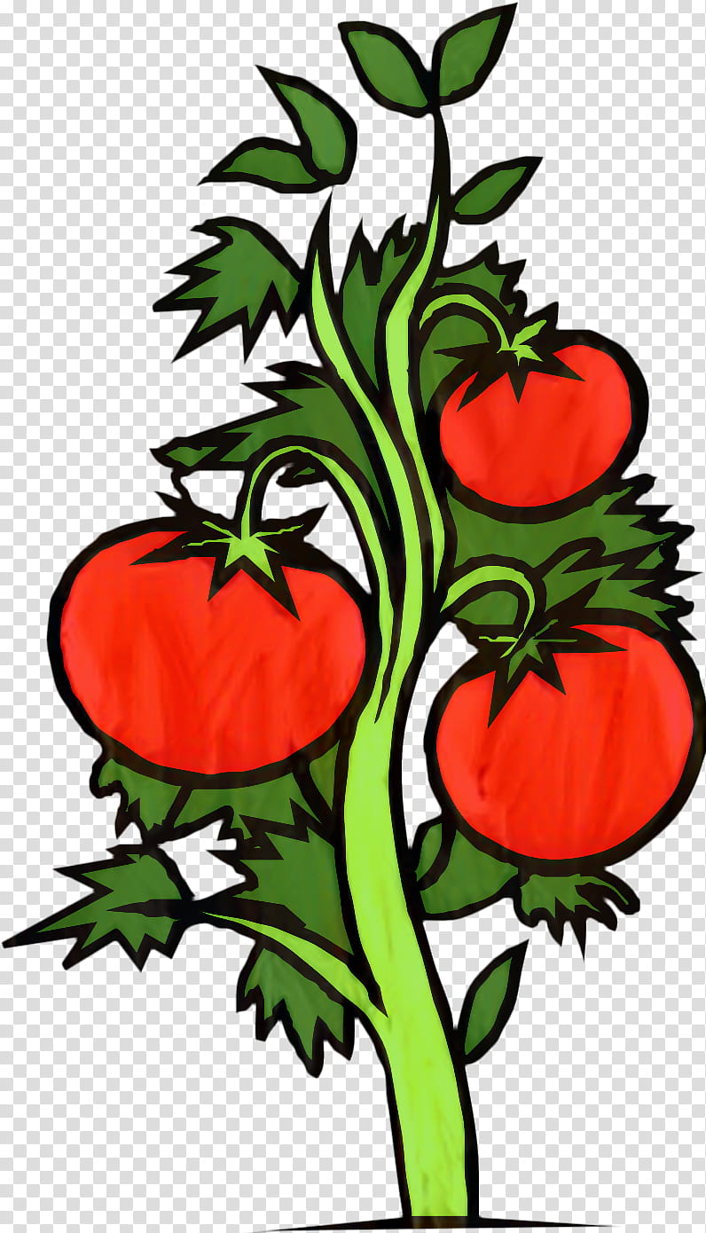 Leaf Drawing, Cherry Tomato, Plants, Aubergines, Vegetable, Food, Heirloom Tomato, Bell Pepper transparent background PNG clipart