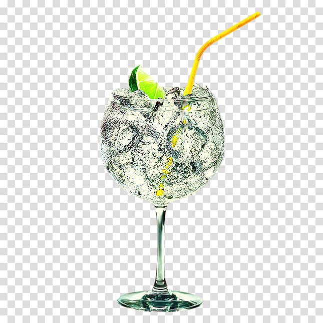 Water, Gin And Tonic, Cocktail Garnish, Stemware, Glass, Unbreakable, Wine Glass, Drinkware transparent background PNG clipart