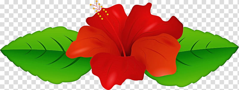 Red Flower, Rosemallows, Petal, Leaf, Hawaiian Hibiscus, Plant, Impatiens, Petunia transparent background PNG clipart
