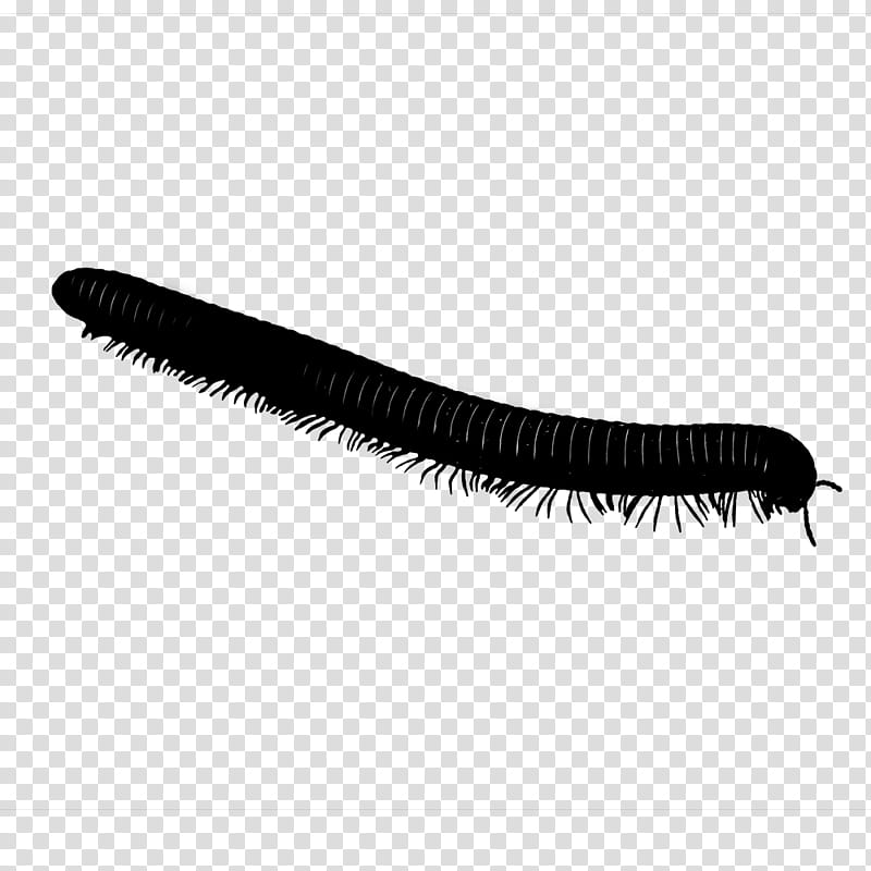 Brush, Eyelash, Black, Millipedes, Insect, Centipede, Cosmetics transparent background PNG clipart