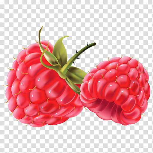 Fruit, Raspberry, Berries, Blue Raspberry Flavor, Red Raspberry, Strawberry, Boysenberry, Food transparent background PNG clipart