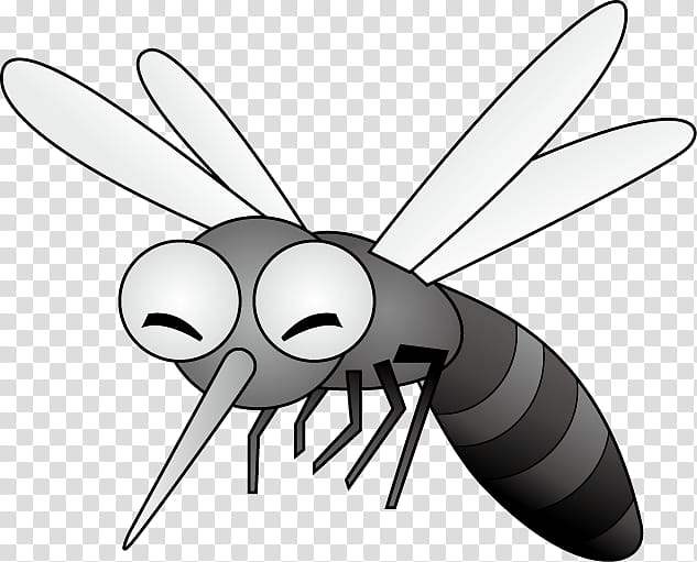 Mosquito Insect, Fly, Pest, Mosquito Control, Pest Control, Yellow Fever Mosquito, Dengue Fever, Black And White transparent background PNG clipart