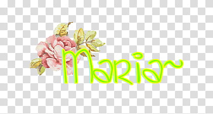 Texto Para Maria transparent background PNG clipart