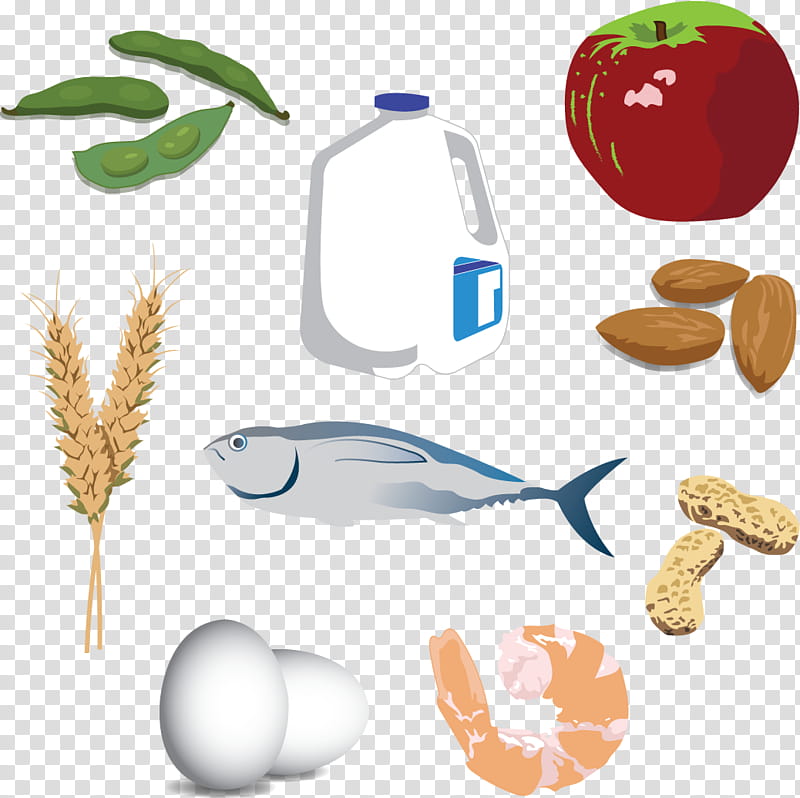 Graphic, Commodity, Latticework, Food, Plastic, Superfood transparent background PNG clipart