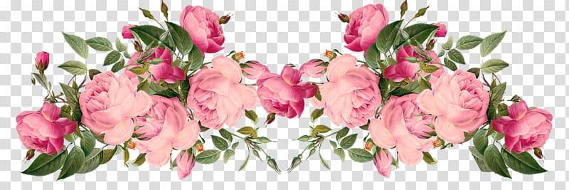 Pink Flower, BORDERS AND FRAMES, Floral Design, Rose, Frames, Vintage, Retro Style, Cut Flowers transparent background PNG clipart