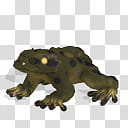 Spore creature Common frog , green and black frog transparent background PNG clipart