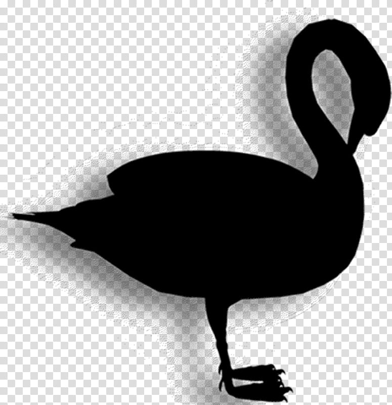 Bird Silhouette, Duck, Goose, Beak, Swan, Water Bird, Black Swan, Ducks Geese And Swans transparent background PNG clipart