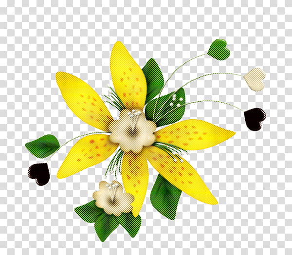 flower yellow petal plant flowering plant, Wildflower, Narcissus, Amaryllis Family transparent background PNG clipart