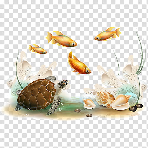 Sea Turtle, Desktop , Encapsulated PostScript, Computer Icons, Render, Fish, Drawing, Art transparent background PNG clipart