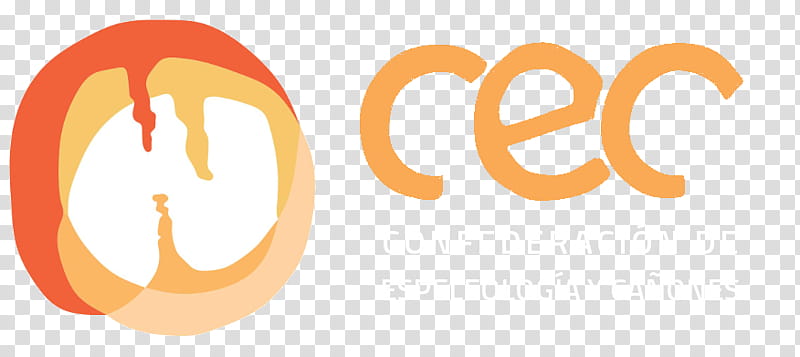 Children, Logo, Council For Exceptional Children, Computer, Orange Sa, Text, Yellow, Smile transparent background PNG clipart