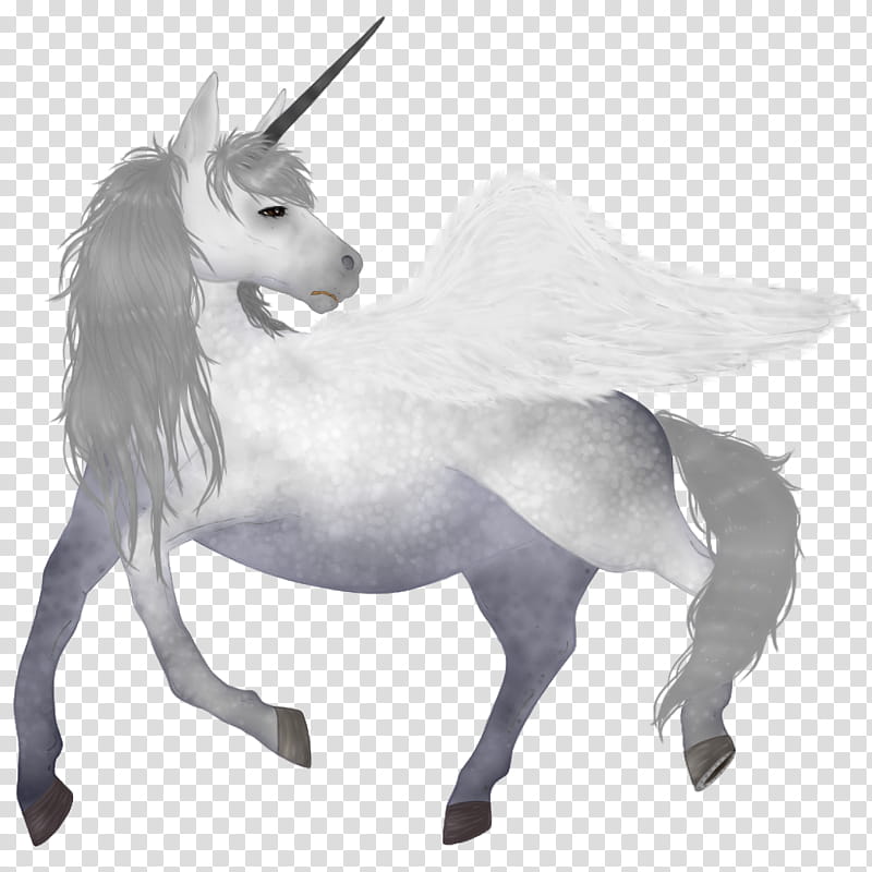 Unicorn, Mustang, Snout, Naturism, Horse, Horn, Black And White
, Mane transparent background PNG clipart