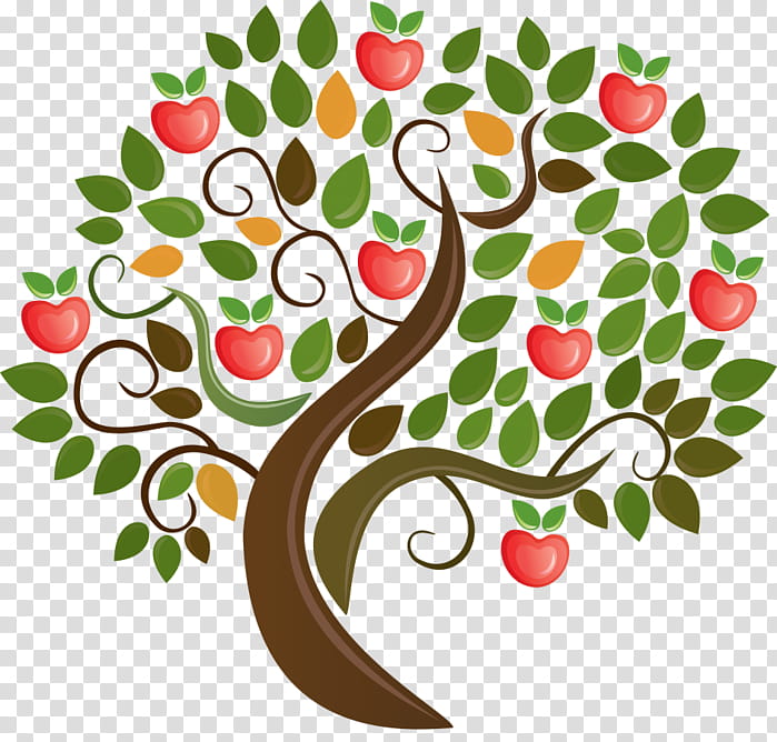 Apples, Apple Tree Preschool And Kindergarten, Child, Education
, Child Care, School
, Early Childhood Education, Fruit transparent background PNG clipart