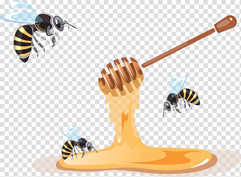 Bee, Apiary, Beekeeping, Honey, Beekeeper, Honey Bee, Beehive, Honeycomb transparent background PNG clipart