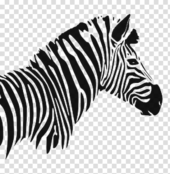 Zebra, Quagga, Zebre Rugby Club, Animal, Neck, Intellectual Giftedness ...