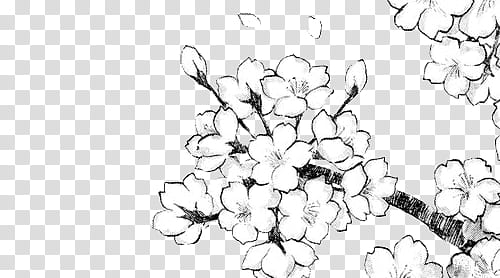 Manga Flowers ColdLove, black and white flower illustration transparent ...
