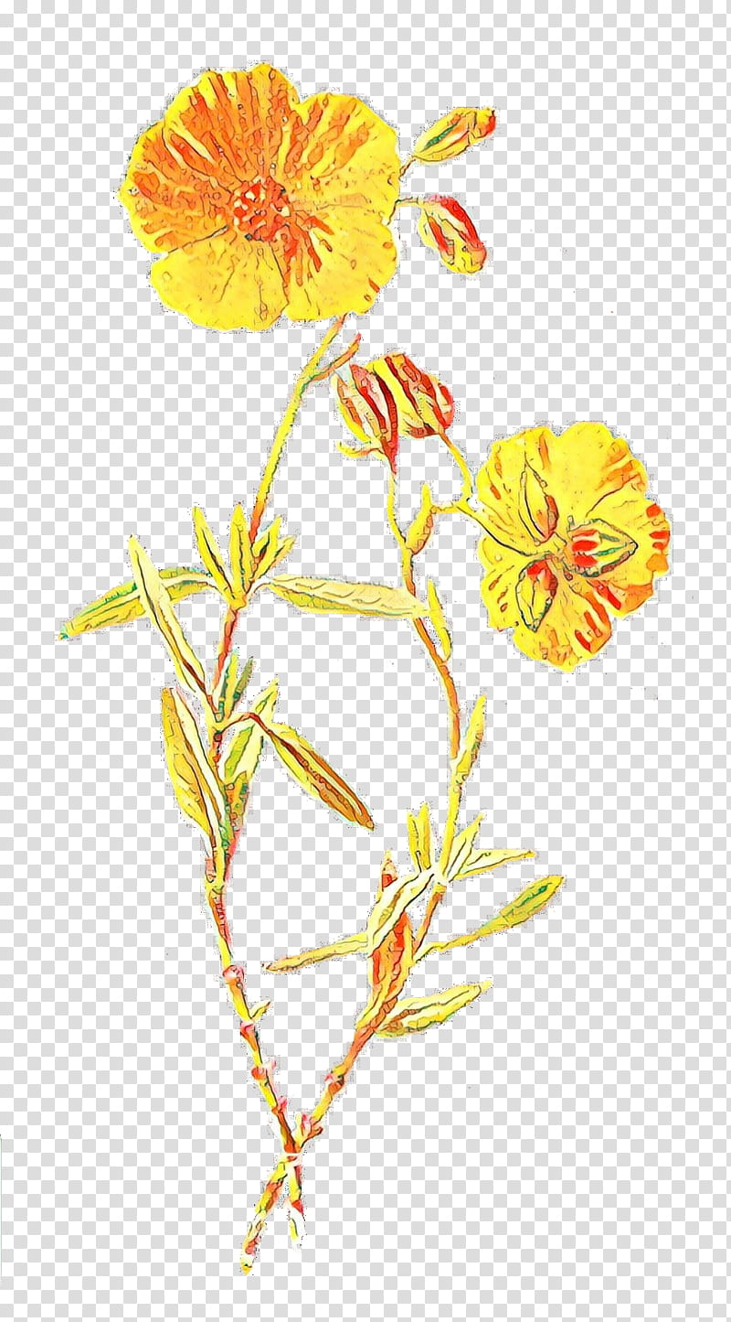 Flowers Illustration, Familiar Wild Flowers, Wildflower, Yellow, Plants, Petal, Rose, Lithography transparent background PNG clipart