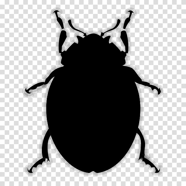 Ladybird, Beetle, Beetles And Other Insects, Ladybird Beetle, Aphid, Drawing, Drawing And Illustration A Complete Guide, Bernard Durin transparent background PNG clipart