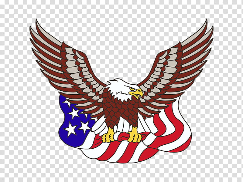 Sea Bird, Bald Eagle, United States Of America, Flag Of The United States, Drawing, Logo, Great Seal Of The United States, Sea Eagle transparent background PNG clipart