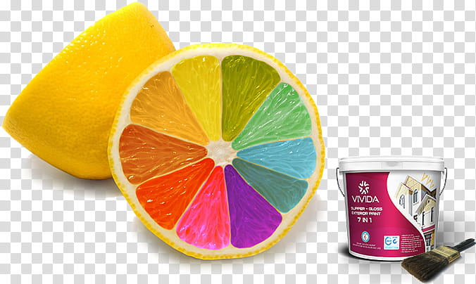 Lemon Drawing, Color, International Colour Day, Food Coloring, Marketing, Printing, Citrus, Grapefruit transparent background PNG clipart