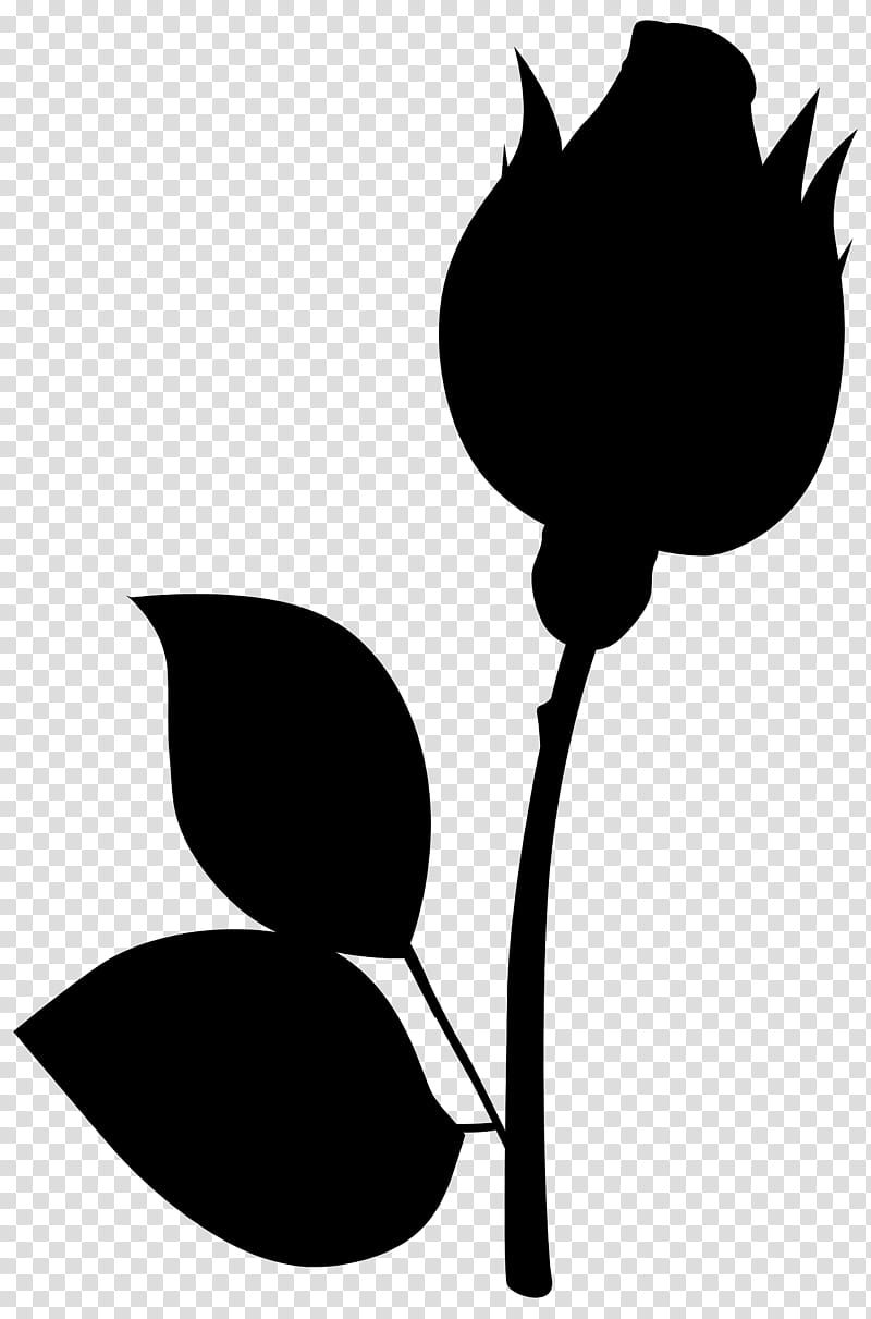 Rose Silhouette, Plant Stem, Flower, Leaf, Plants, Cotton, Cotton Balls, Knitting transparent background PNG clipart