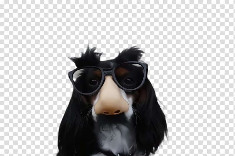Glasses, Dog, Eyewear, Snout, Dog Breed, Bernese Mountain Dog, Sporting Group, Companion Dog transparent background PNG clipart