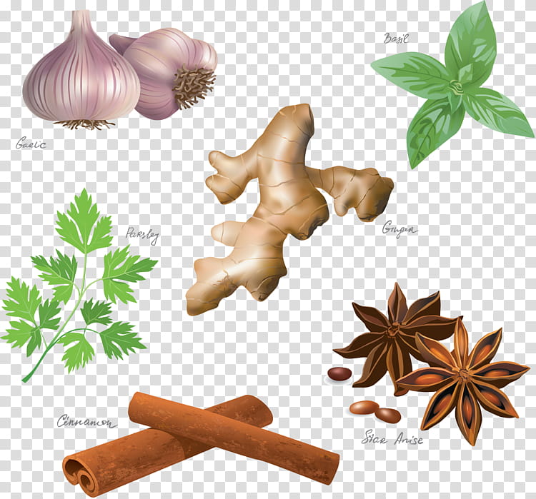 Star Drawing, Spice, Food, Anise, Seasoning, Parsley, Herb, Star Anise transparent background PNG clipart