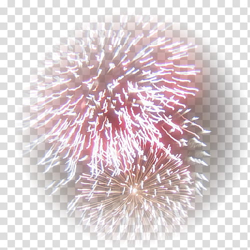 Fireworks New Year, Pyrotechnics, Birthday
, Artificier, Animation, Drawing, Fond Blanc, Painting transparent background PNG clipart