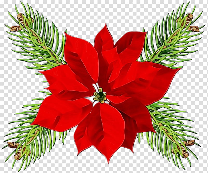 Christmas decoration, Watercolor, Paint, Wet Ink, Oregon Pine, Colorado Spruce, Plant, Flower transparent background PNG clipart Christmas decoration, Watercolor, Paint, Wet Ink, Oregon Pine, Colorado Spruce, Plant, Flower transparent background PNG clipart