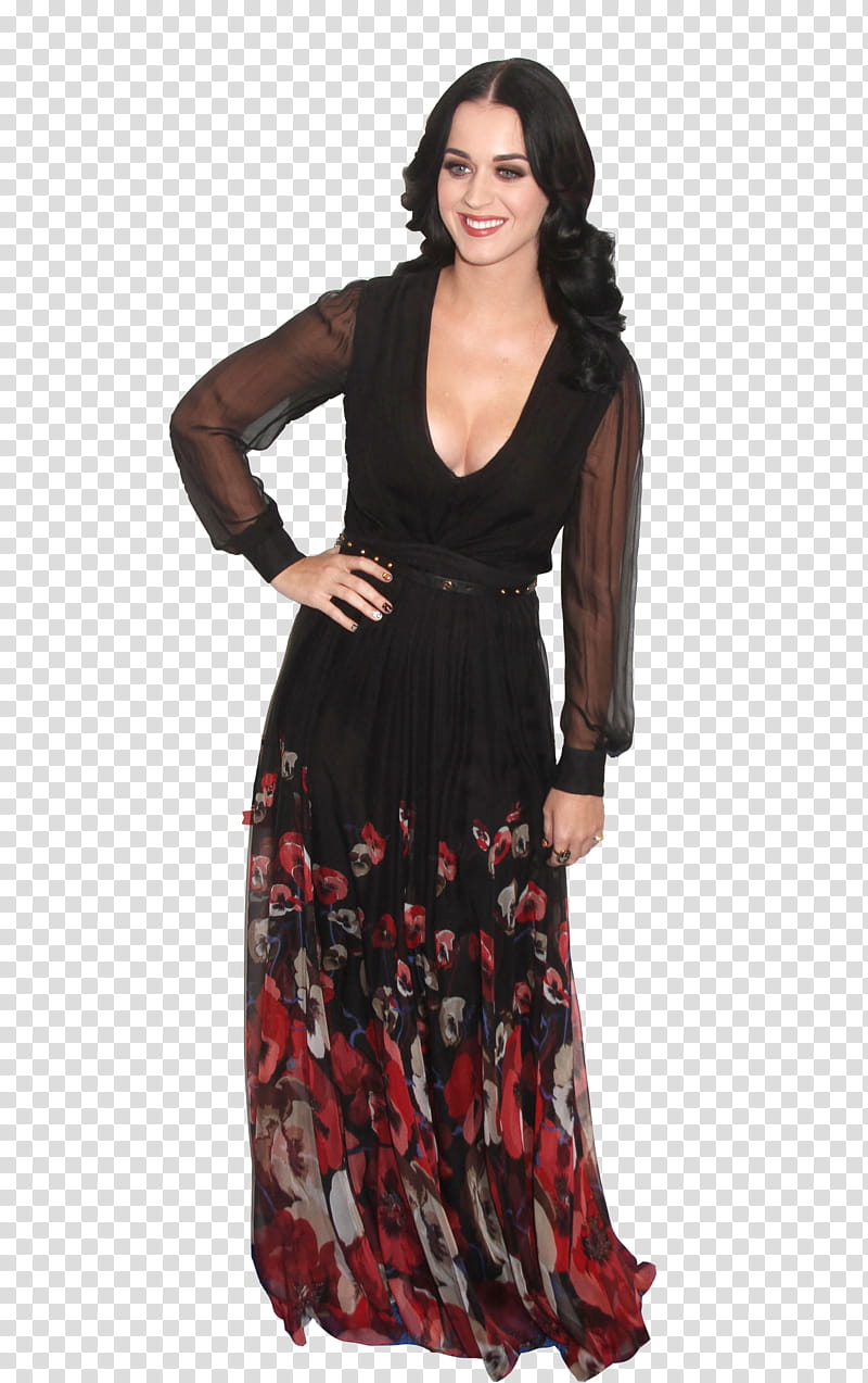 Katy Perry transparent background PNG clipart