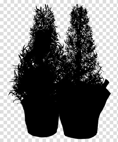 Family Tree Silhouette, Black, White, Flowerpot, Plant, Woody Plant, Grass, Footwear transparent background PNG clipart