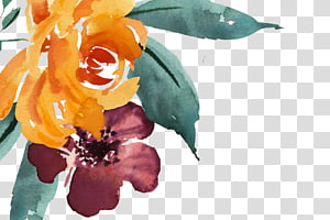 Watercolor Floral, Watercolor Flowers, Watercolor Painting, Drawing, Floral Design, Petal, Plant, Orange transparent background PNG clipart thumbnail