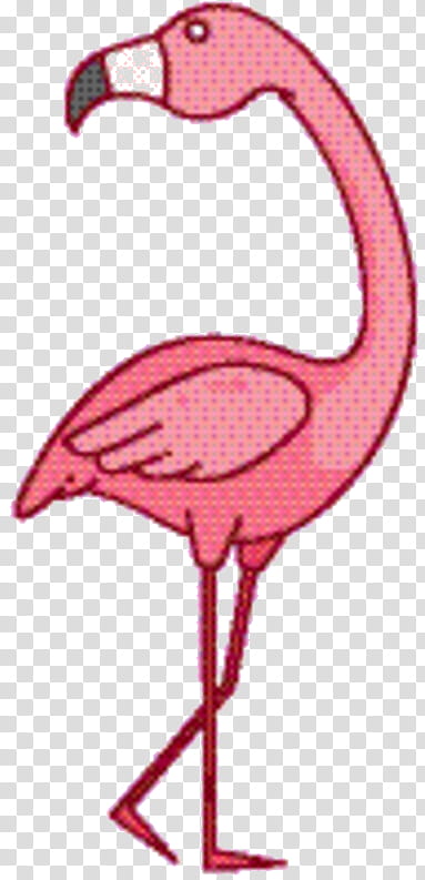 Pink Flamingo, Pink M, Line, Beak, Greater Flamingo, Bird, Water Bird transparent background PNG clipart