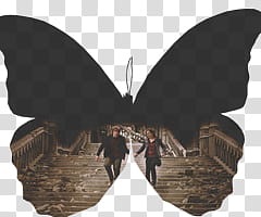 Emma Watson and Rupert Grint transparent background PNG clipart